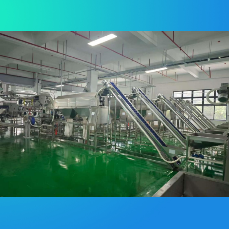 Cashew Peeling Production Line