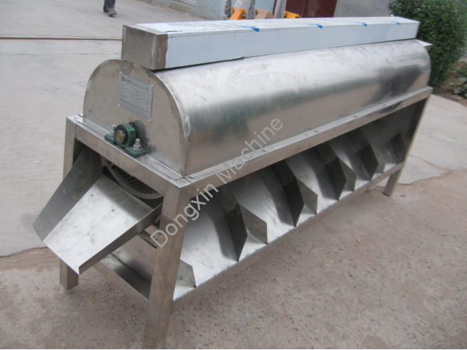 Cashew Peeling Production Line