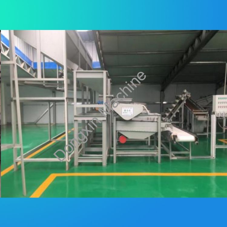 Apricot kernel, almond wood, hazelnut shelling production line