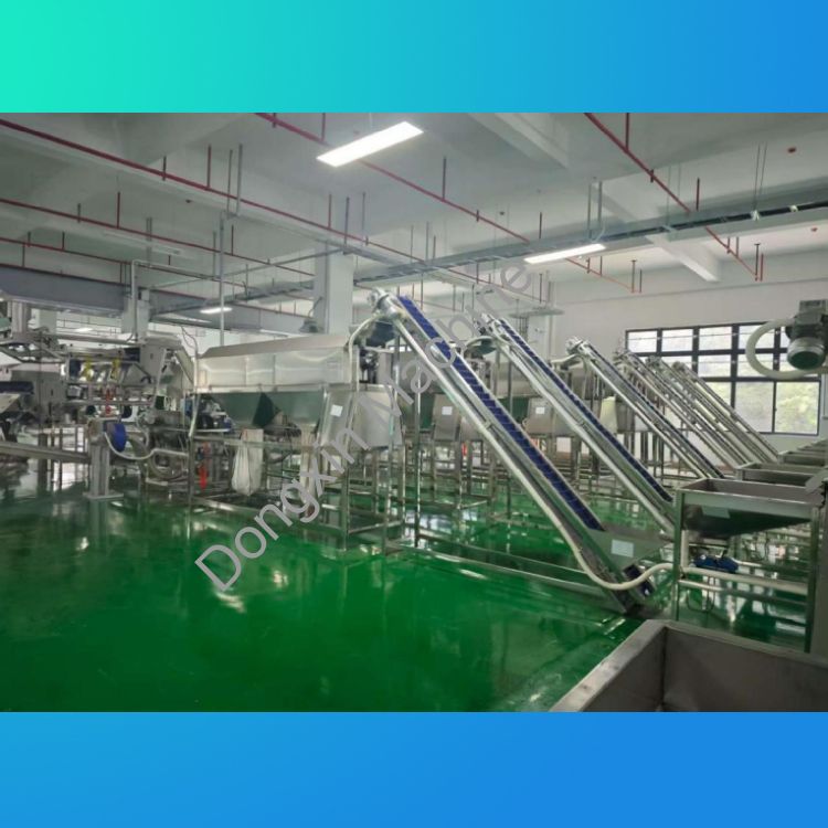 Cashew Peeling Production Line