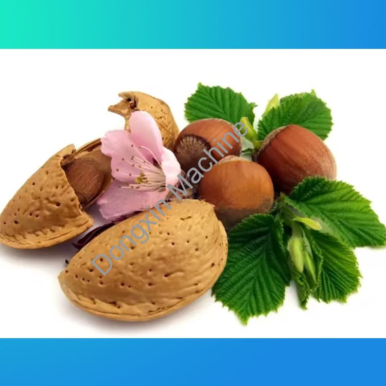 Apricot kernel, almond wood, hazelnut shelling production line