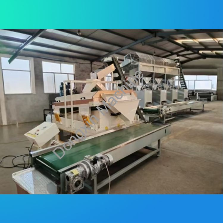 Apricot kernel, almond wood, hazelnut shelling production line