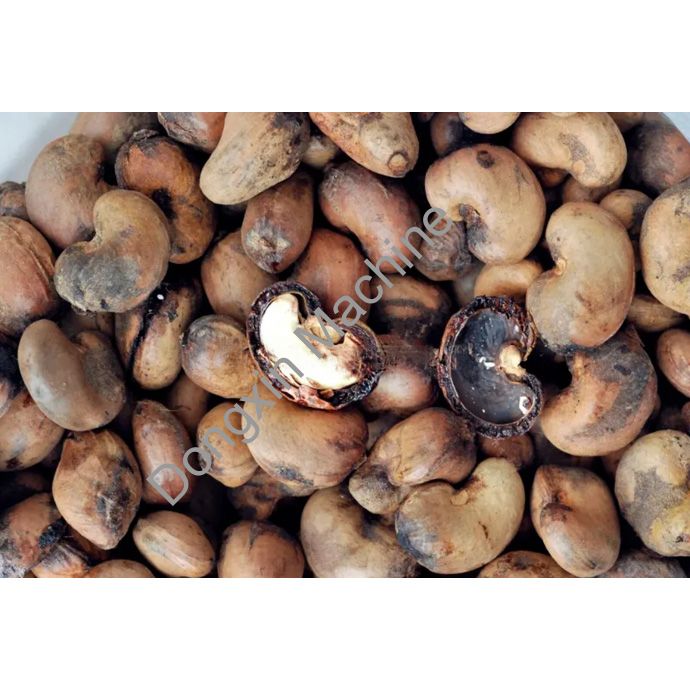 Cashew Shelling Production Line